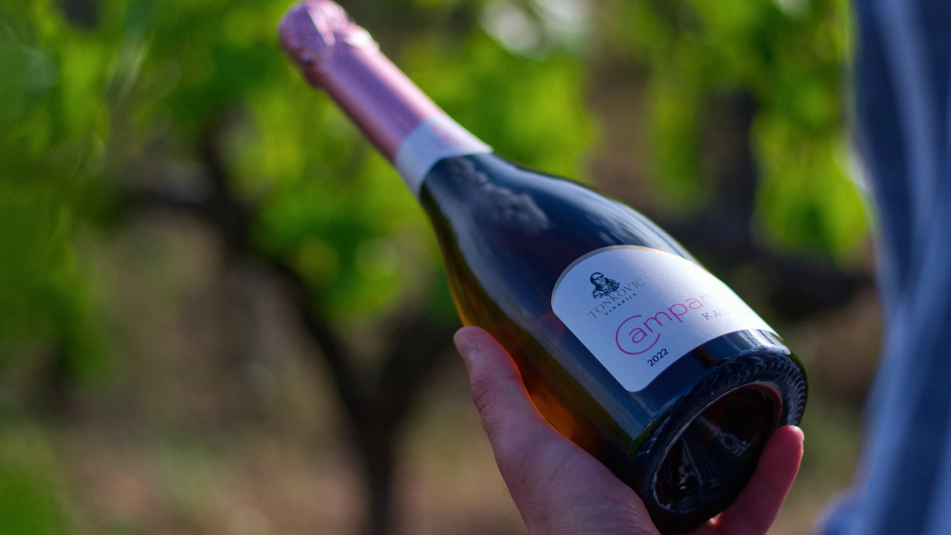 Tonković sparkling wine bottle held in the vineyard