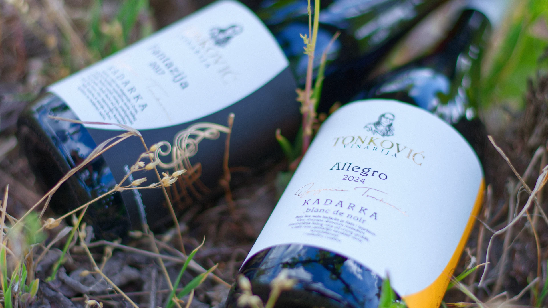 Tonković Kadarka and Allegro bottles lying among the vines