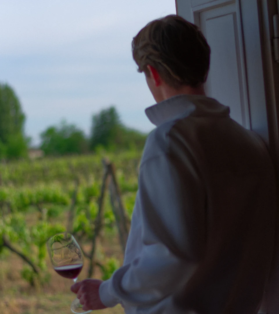 Winemaker with a glass of red looking out over the Tonković vineyard