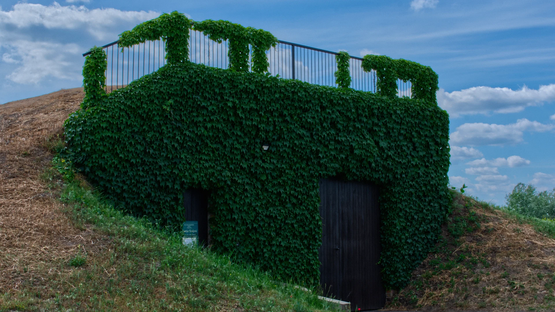 Grass-covered wine cellar at Tonković Winery